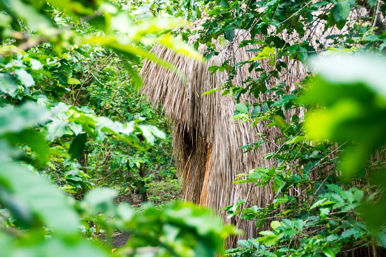 Queen Elizabeth Pvt Lodge Kichwamba Eksteriør bilde