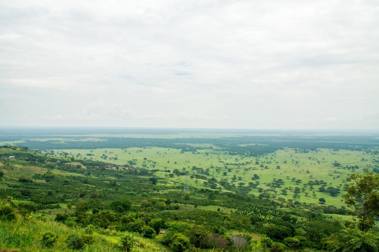 Queen Elizabeth Pvt Lodge Kichwamba Eksteriør bilde